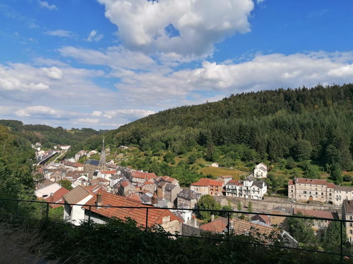 Gite Des Hortensias Raon-aux-Bois Buitenkant foto