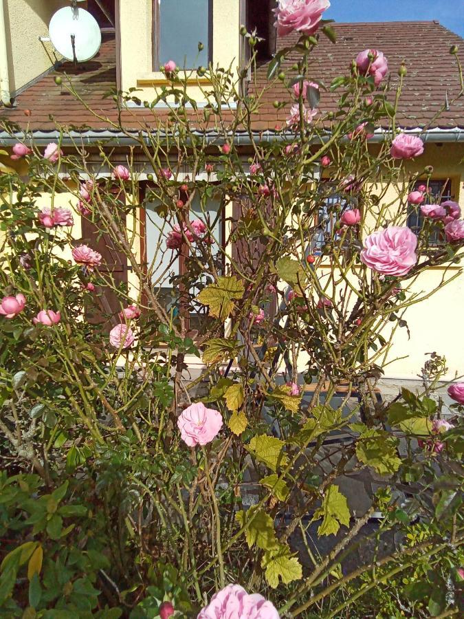 Gite Des Hortensias Raon-aux-Bois Buitenkant foto
