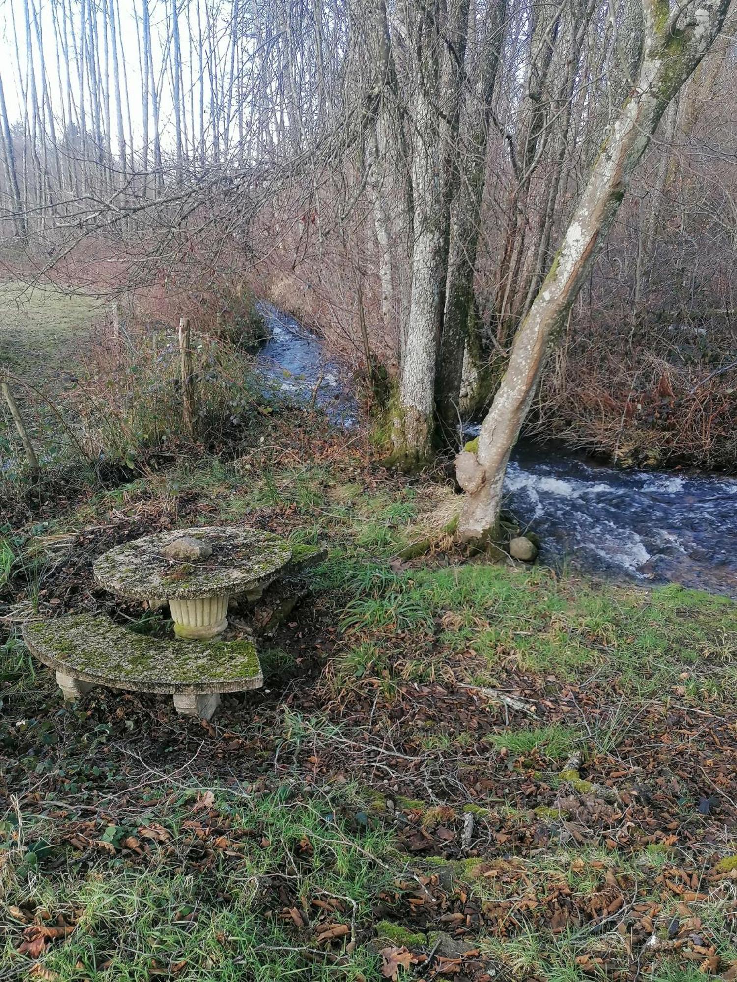 Gite Des Hortensias Raon-aux-Bois Buitenkant foto