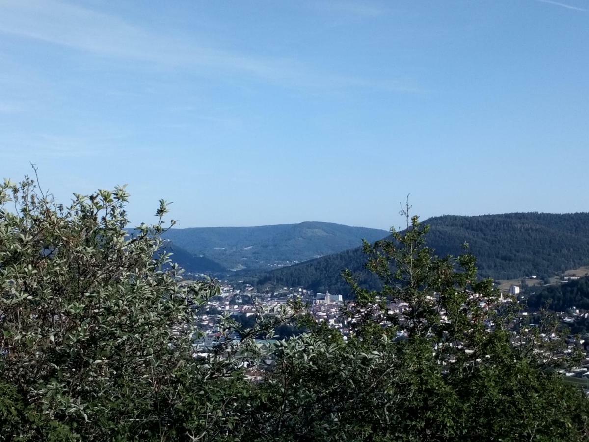 Gite Des Hortensias Raon-aux-Bois Buitenkant foto